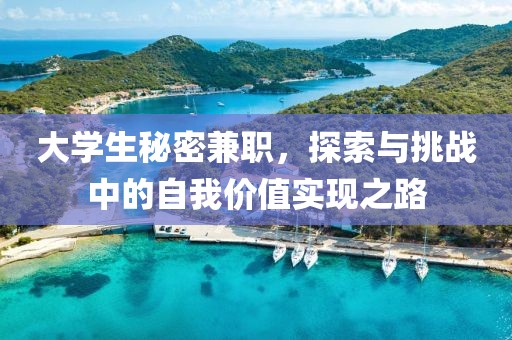 大学生秘密兼职，探索与挑战中的自我价值实现之路