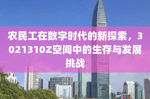 农民工在数字时代的新探索，3021310Z空间中的生存与发展挑战