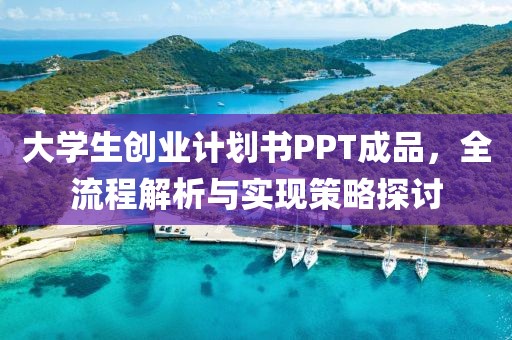 大学生创业计划书PPT成品，全流程解析与实现策略探讨