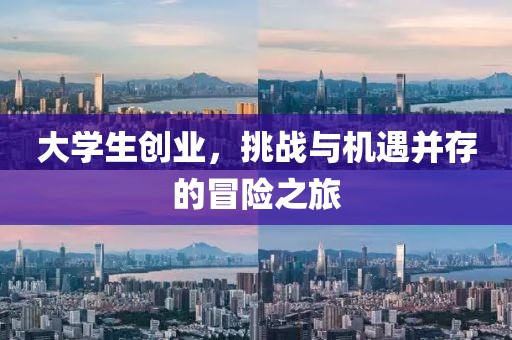 大学生创业，挑战与机遇并存的冒险之旅