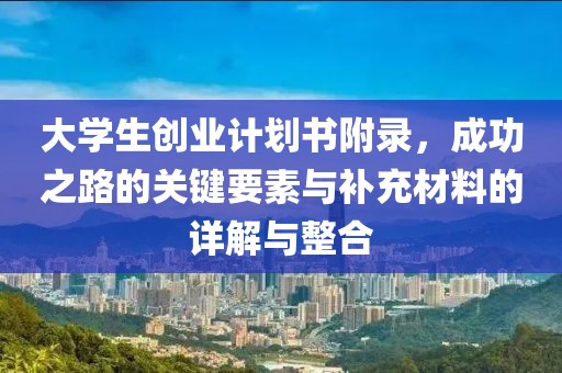 大学生创业计划书附录，成功之路的关键要素与补充材料的详解与整合