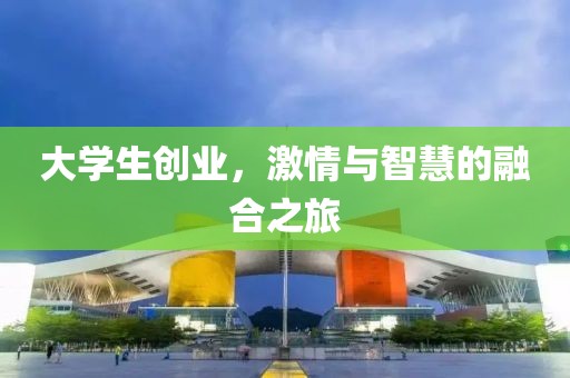 大学生创业，激情与智慧的融合之旅