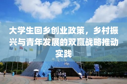 大学生回乡创业政策，乡村振兴与青年发展的双赢战略推动实践