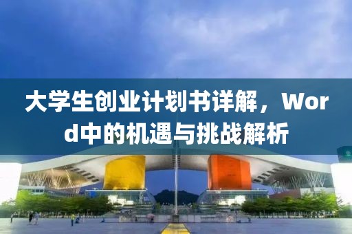 大学生创业计划书详解，Word中的机遇与挑战解析