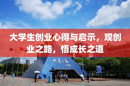 大学生创业心得与启示，观创业之路，悟成长之道