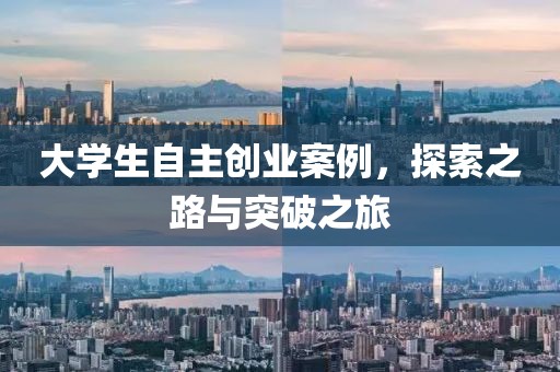 大学生自主创业案例，探索之路与突破之旅