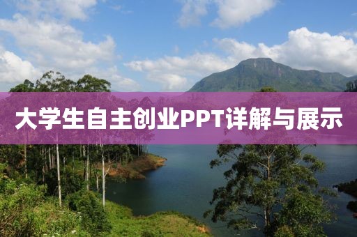 大学生自主创业PPT详解与展示