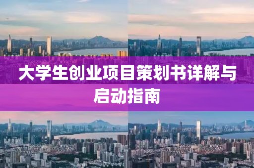 大学生创业项目策划书详解与启动指南