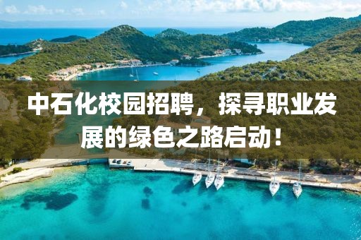 中石化校园招聘，探寻职业发展的绿色之路启动！