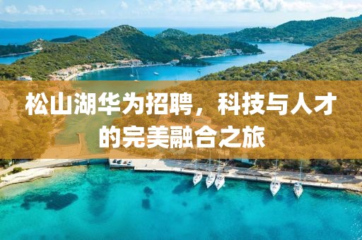 松山湖华为招聘，科技与人才的完美融合之旅