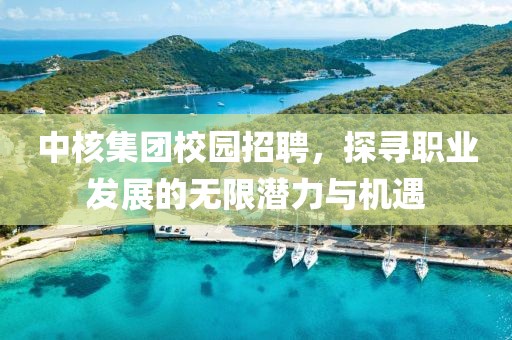 中核集团校园招聘，探寻职业发展的无限潜力与机遇